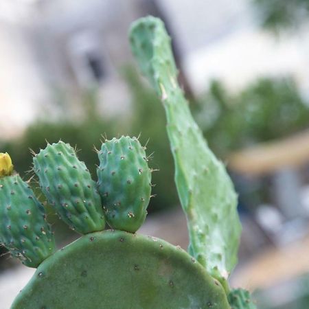 Il Giardino Delle Margherite レッチェ エクステリア 写真