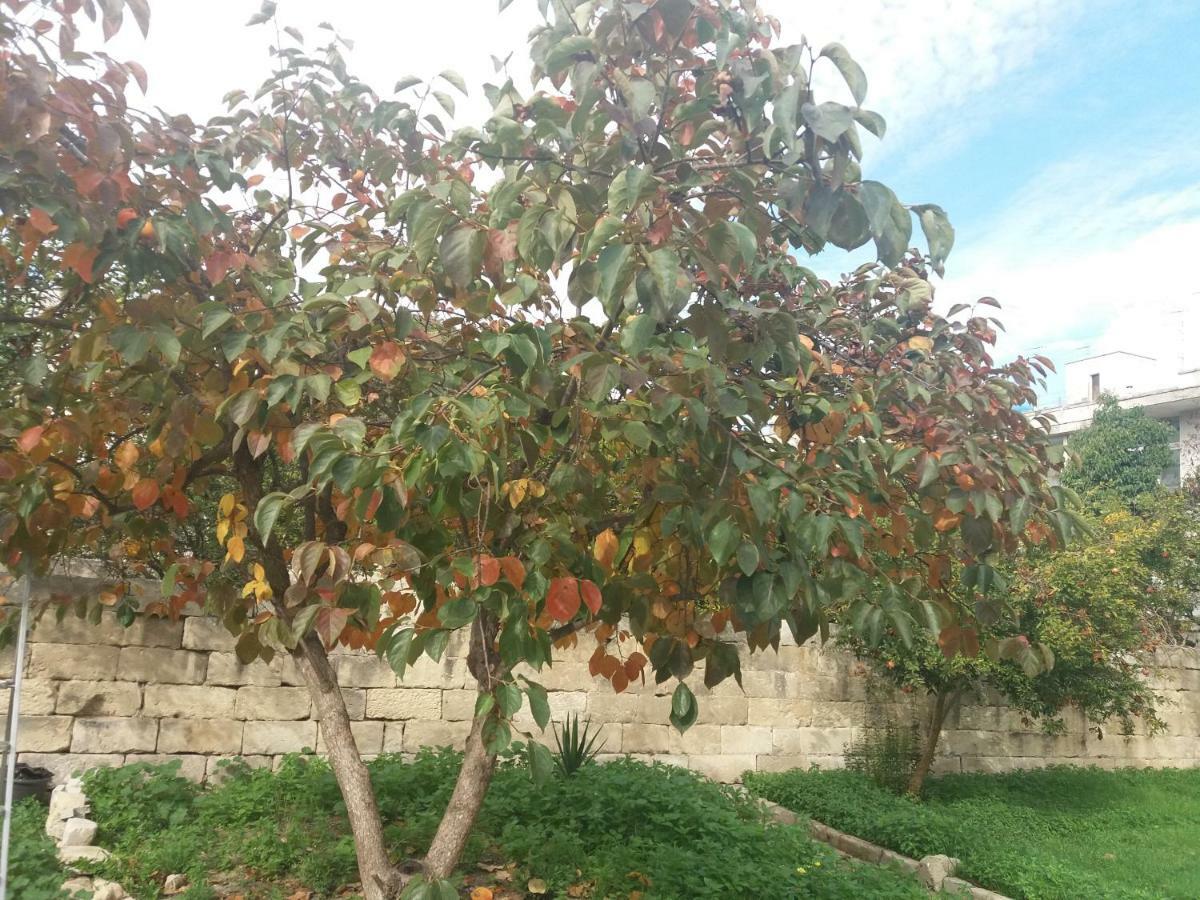 Il Giardino Delle Margherite レッチェ エクステリア 写真