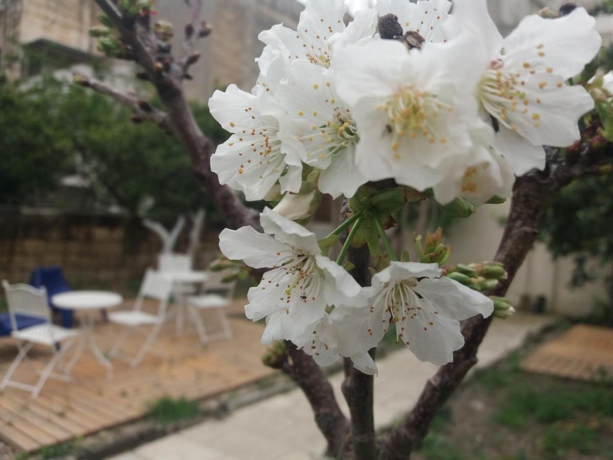 Il Giardino Delle Margherite レッチェ エクステリア 写真